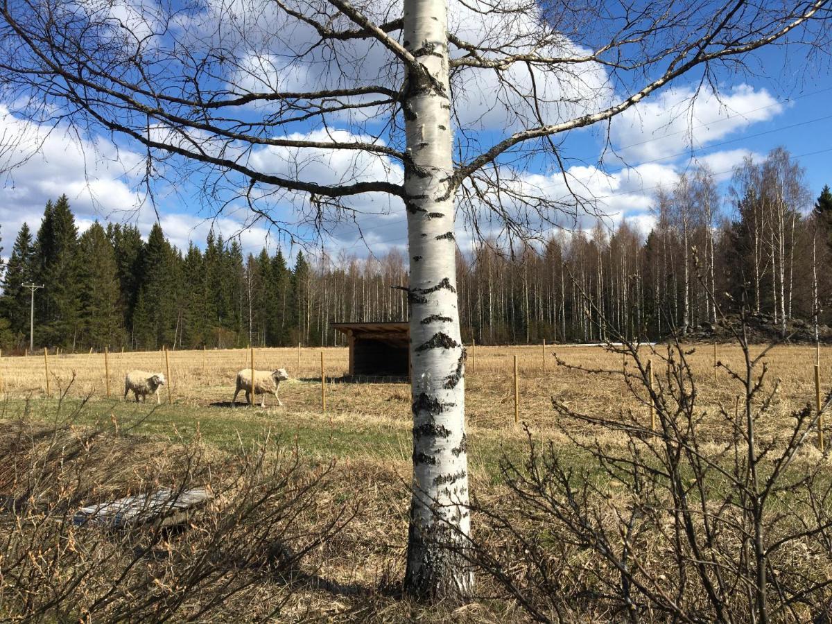 Kivirannan Tupa Villa Ylivieska Exteriör bild
