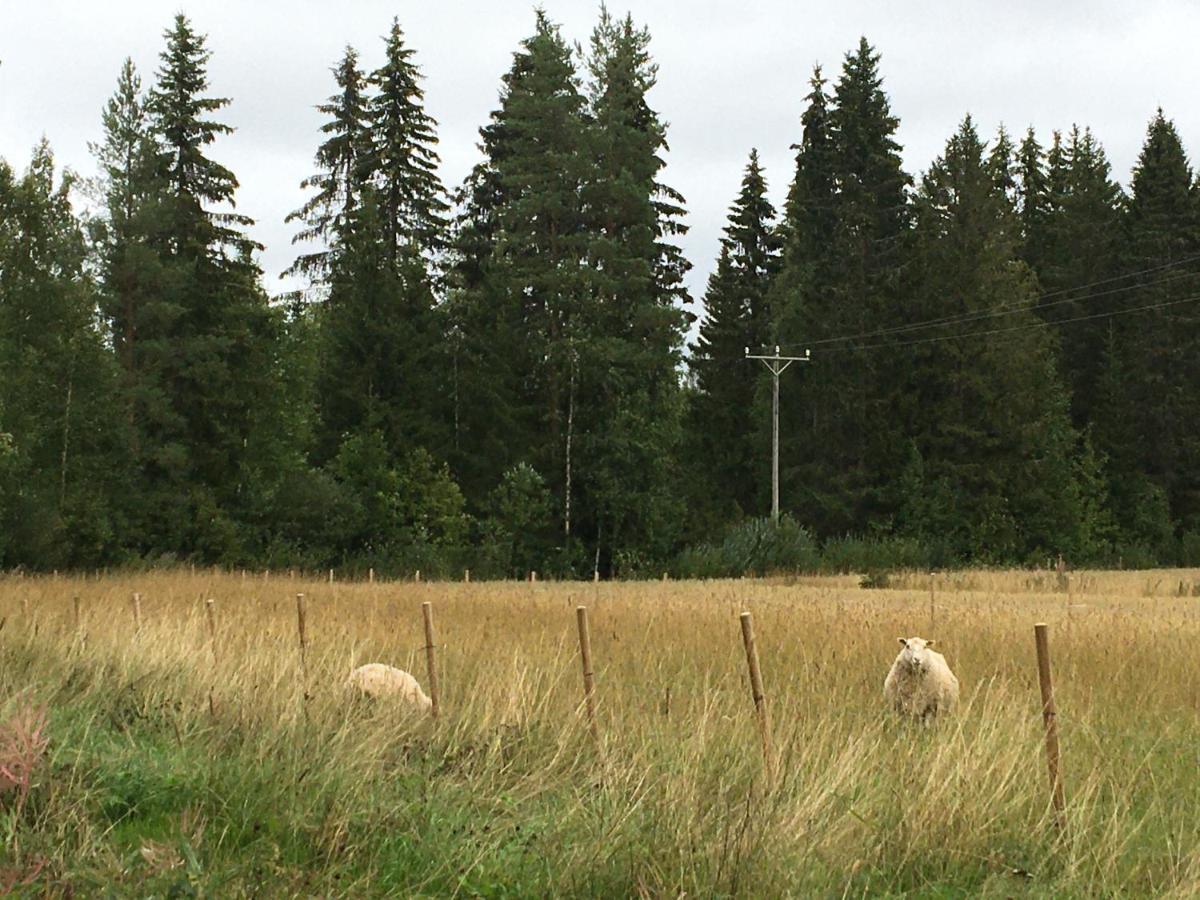 Kivirannan Tupa Villa Ylivieska Exteriör bild